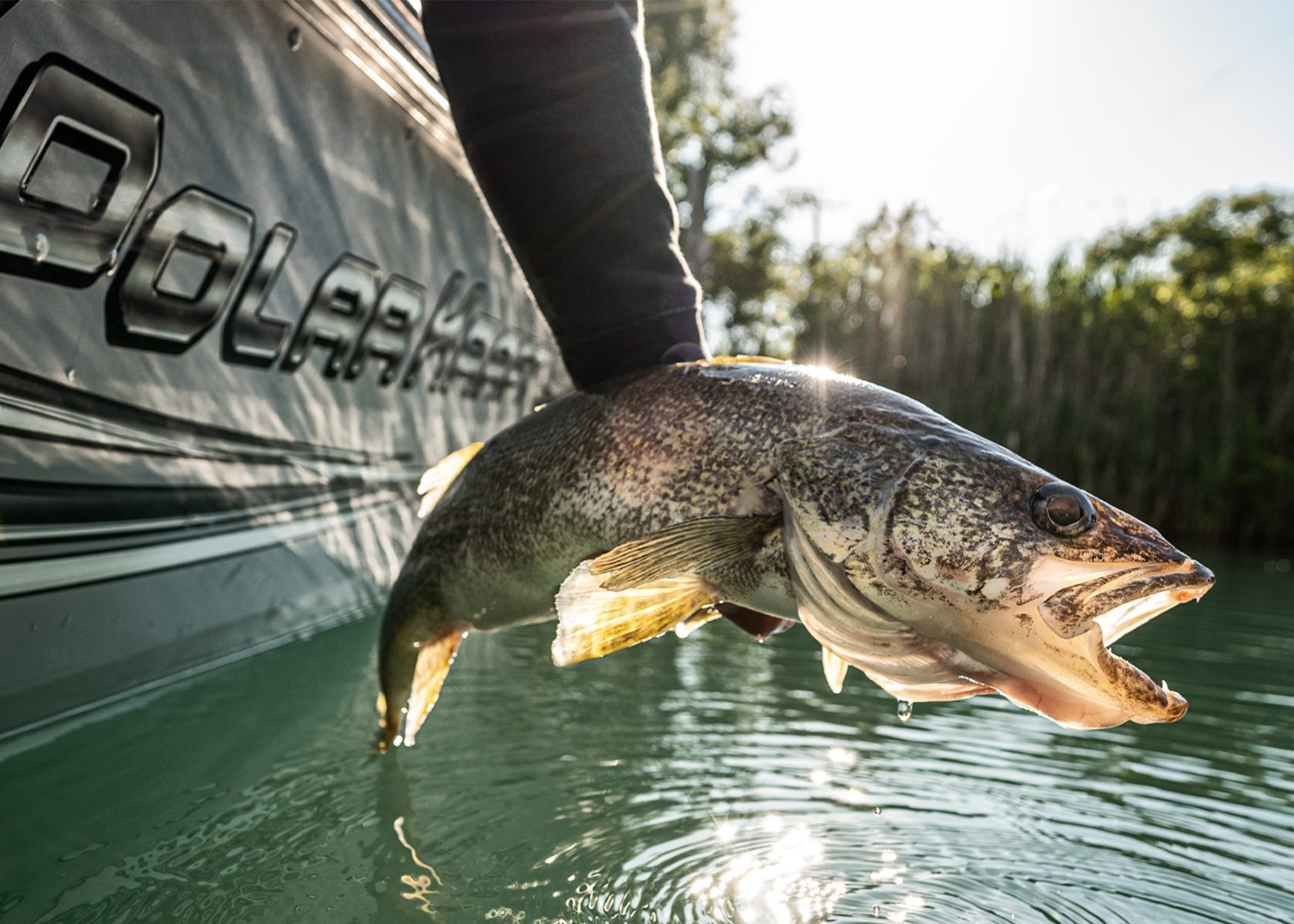 shakespeare youth ugly stik gx2 Rod Length Matters When and the Ugly Stik Fish Mox Forte 500mg 100 Capsules Online Color:Glow Chartreuse Splatter