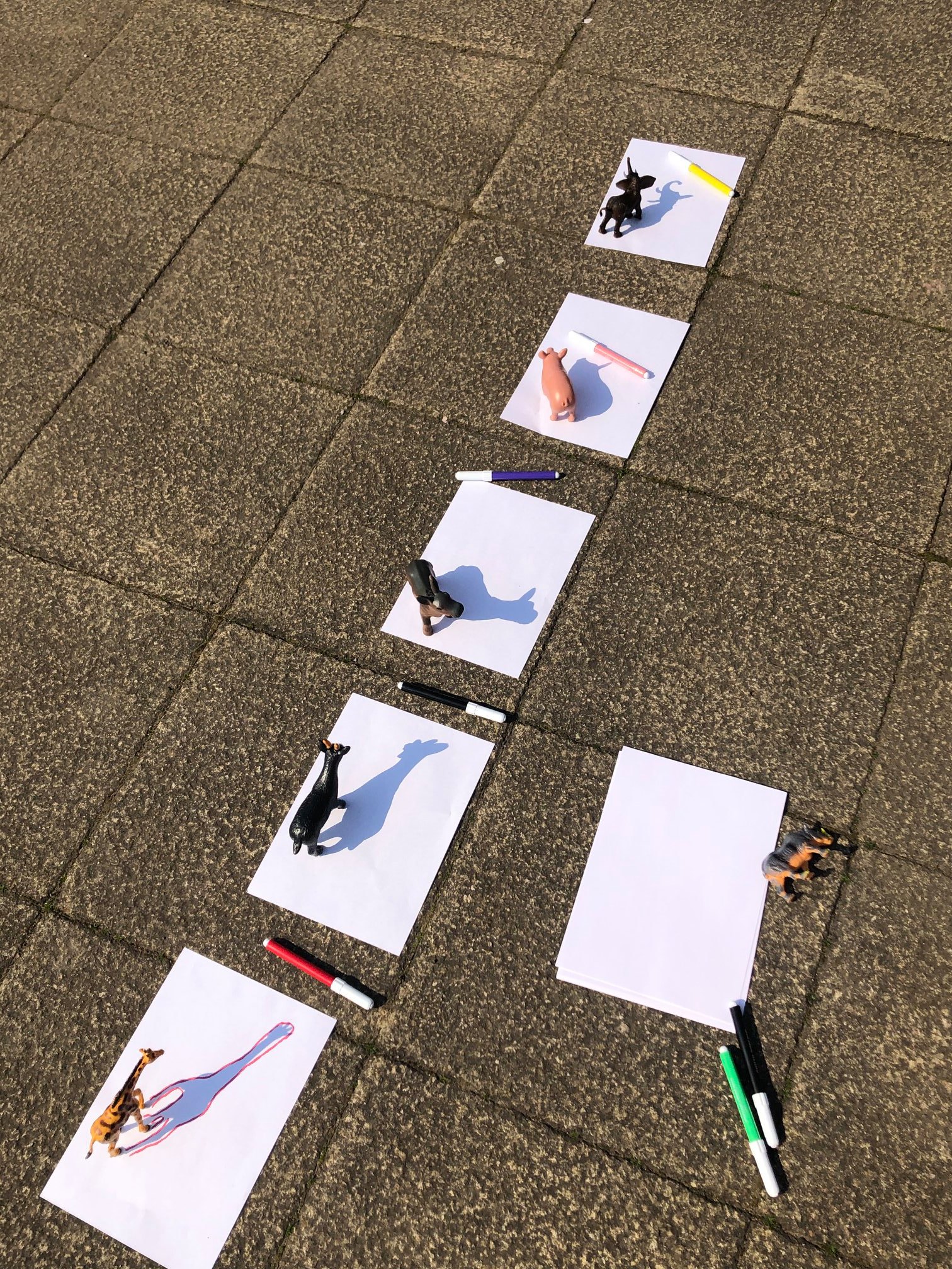 Co-op - The sun is shining today! Here's a fun activity that you can do ...