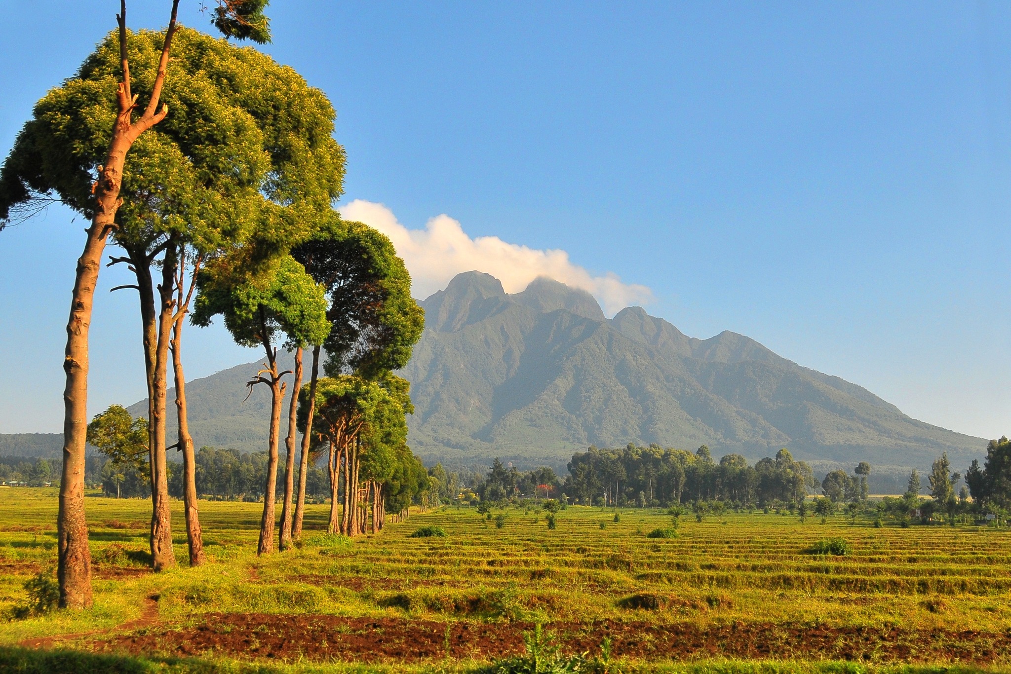 Bradt Guides - The best places to travel in 2026 - Rwanda... | Facebook