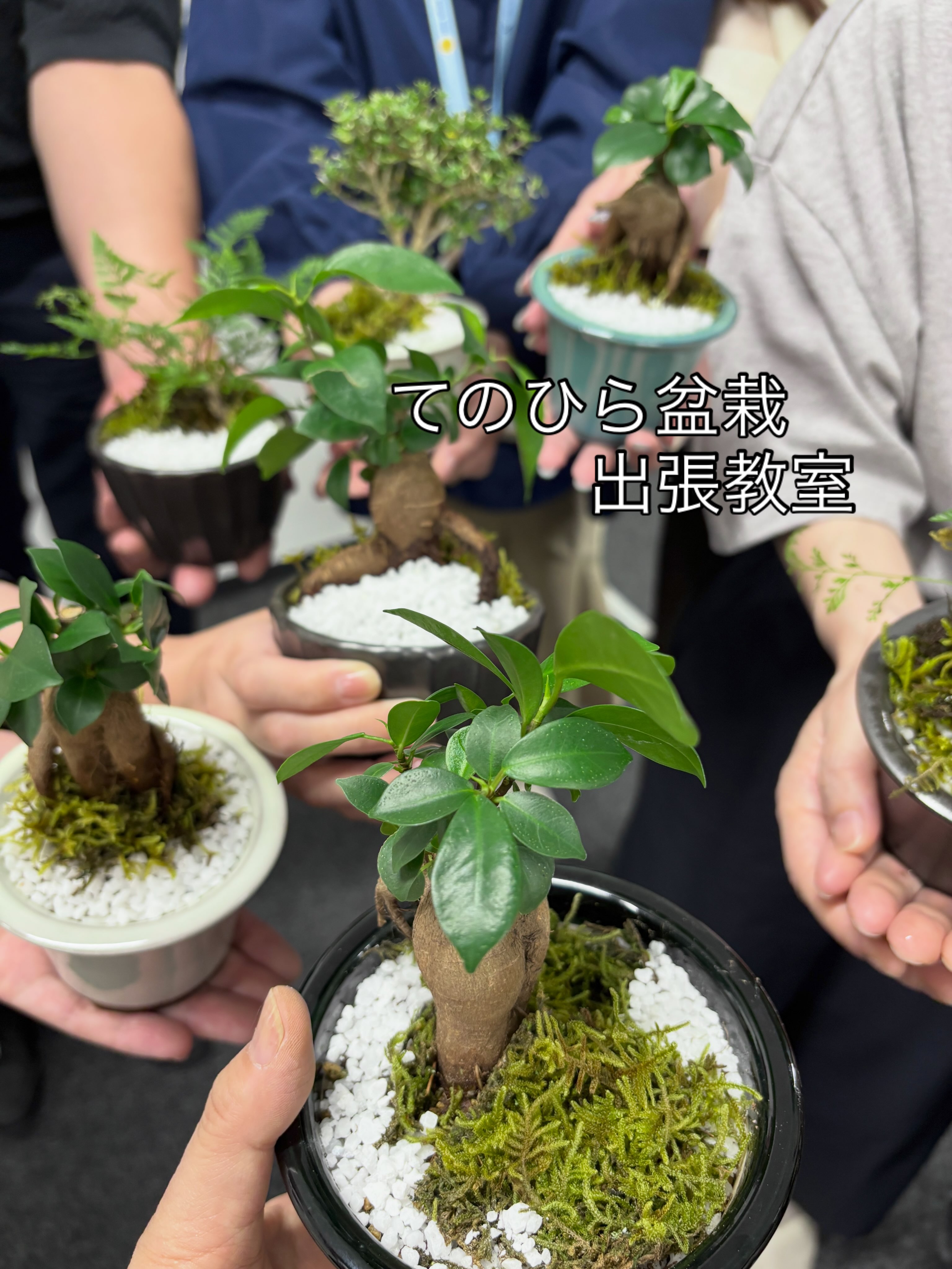 ⌘⌘⌘盆栽鉢づくり2026⌘⌘⌘ 今年も着々と、生徒さんたちの