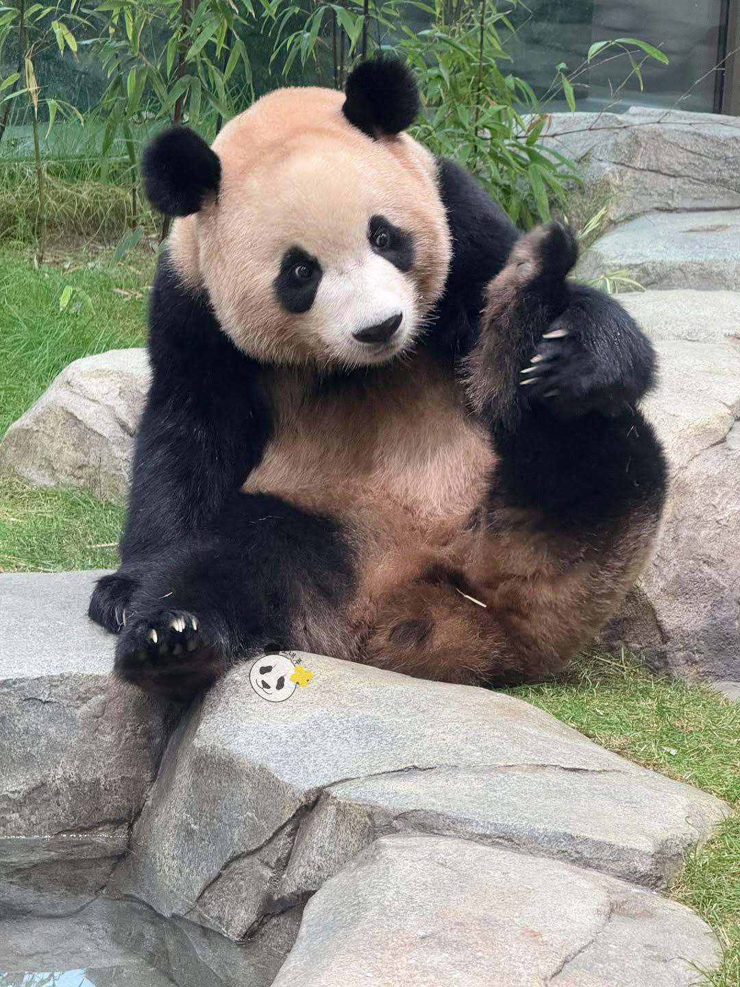 Rui Hui đáng yêu added a new photo. - Rui Hui đáng yêu