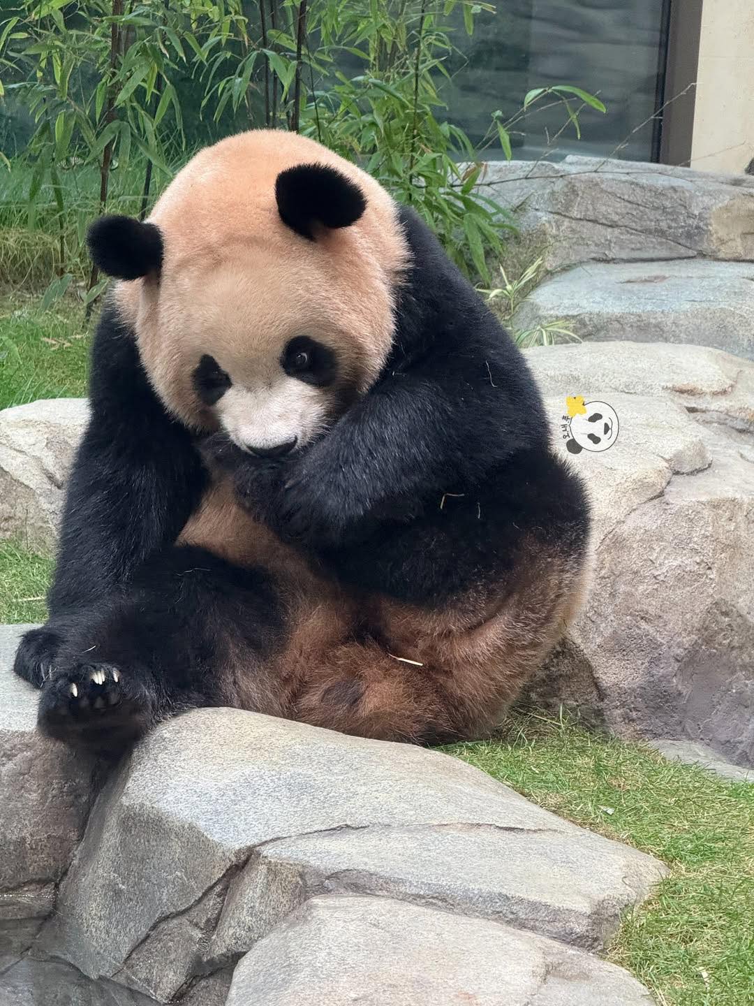 Rui Hui đáng yêu added a new photo. - Rui Hui đáng yêu
