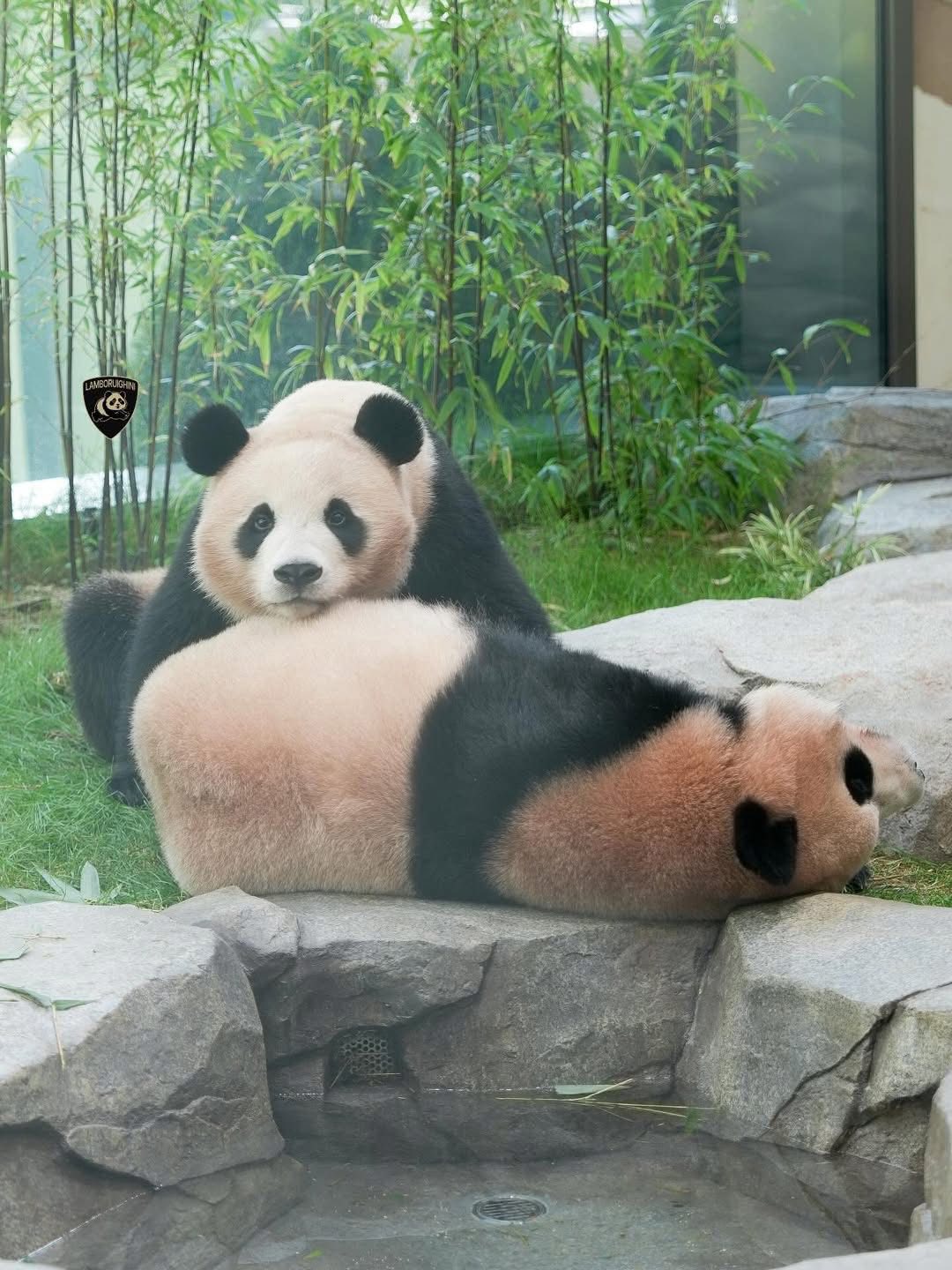 Rui Hui đáng yêu added a new photo. - Rui Hui đáng yêu