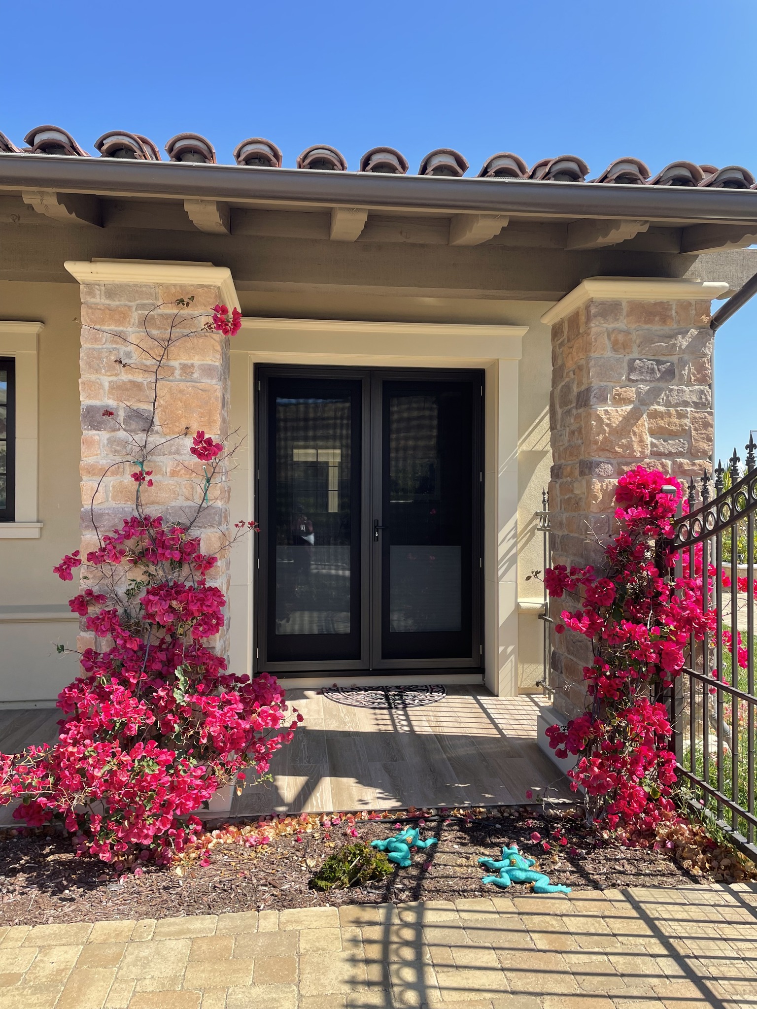 Progressive Security Screens | Escondido CA