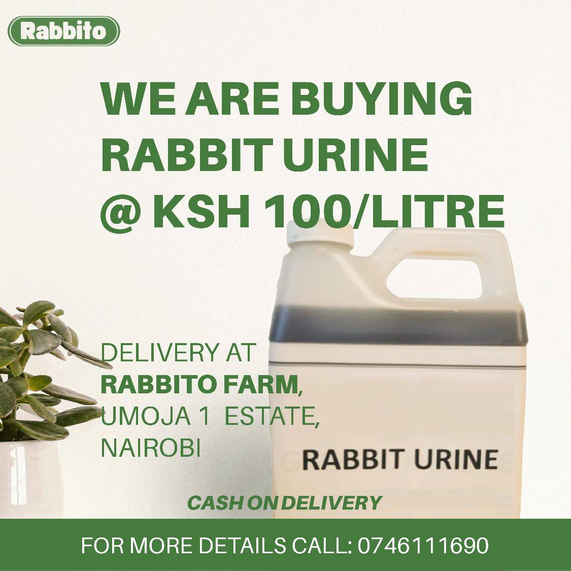 RABBIT MEAT MARKET AND BREEDERS MARKET | Facebook