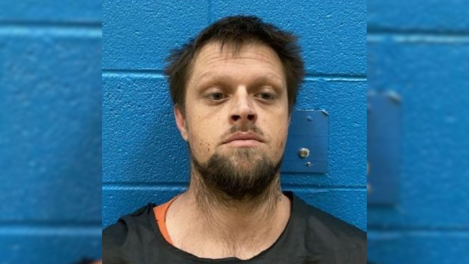 Fox - WNC deputies arrested a man after he allegedly broke into a woman ...