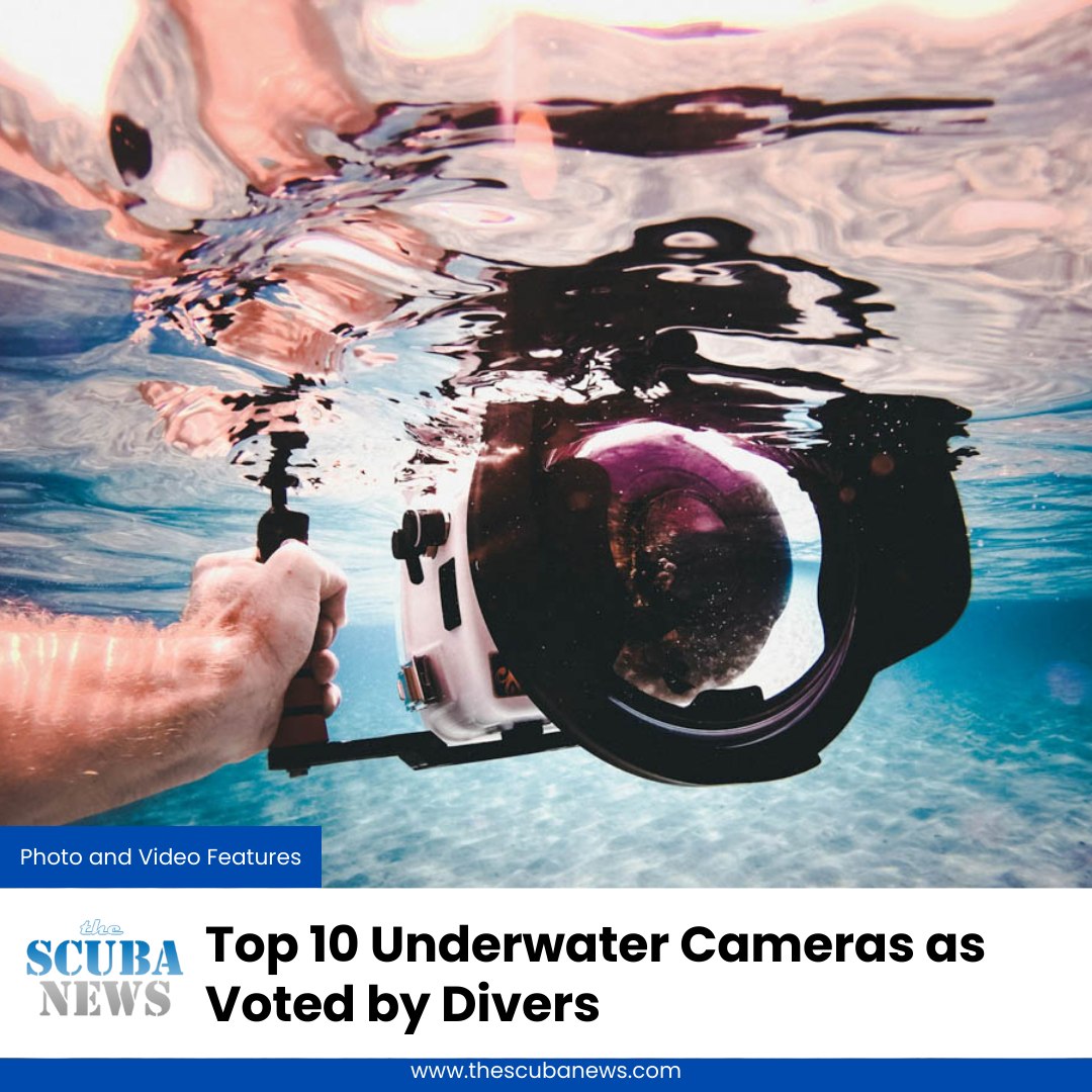 The Scuba News - 📸 Dive into a new world of underwater... | Facebook