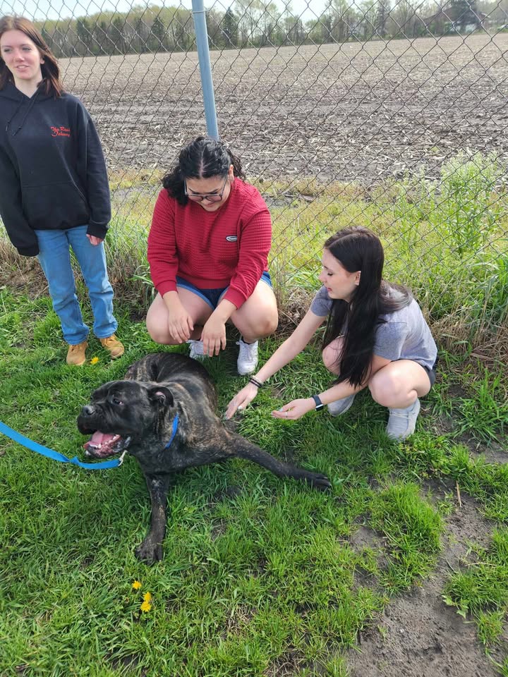 Newton County Animal... - Newton County Animal Shelter