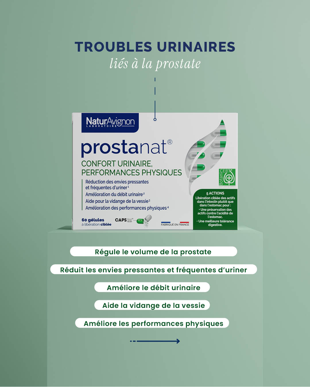 Complément Alimentaire Prostanat NaturAvignon - Confort Urinaire Et Prostate, 60 Capsules