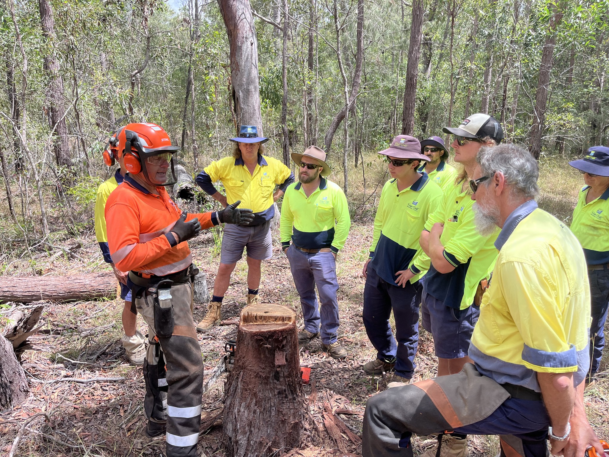 Duff - Chemical, chainsaw, pole saw & fell trees courses anywhere ...