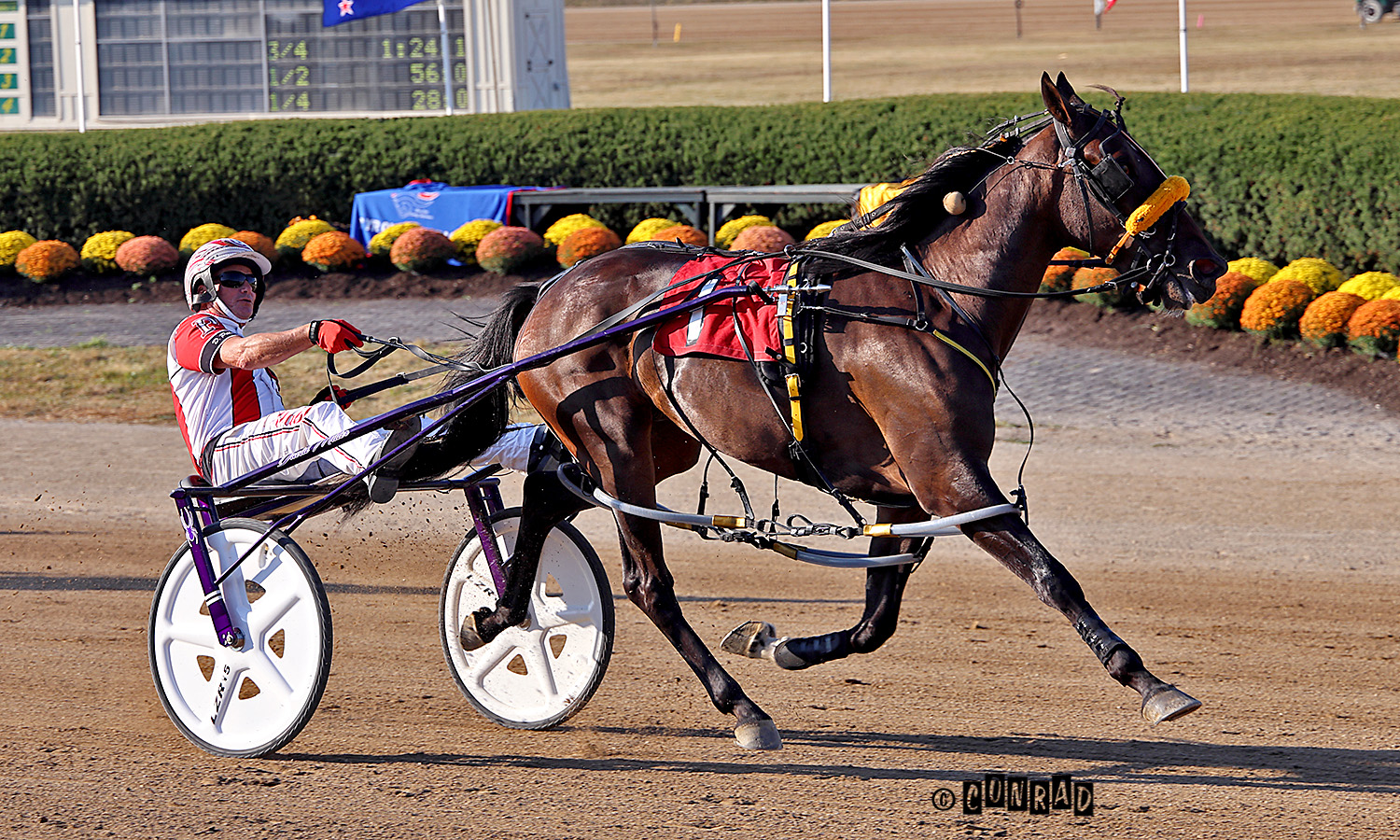 When harness racing... - Ohio Harness Horsemen's Association | Facebook