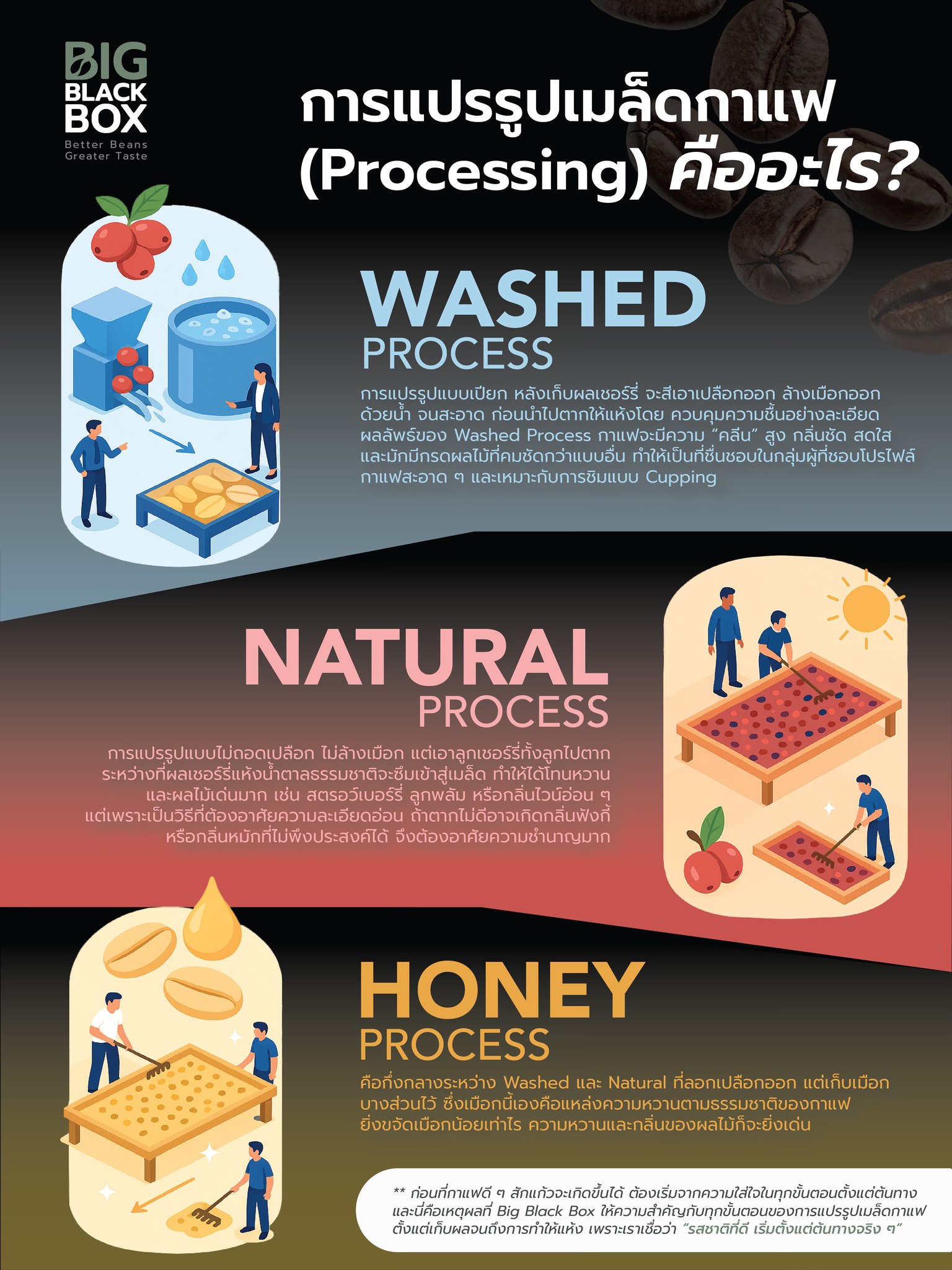 Big - การแปรรูปเมล็ดกาแฟ หรือ Processing คืออะไร? . ☕️ แต่ละวิธีมีผลต่อ ...