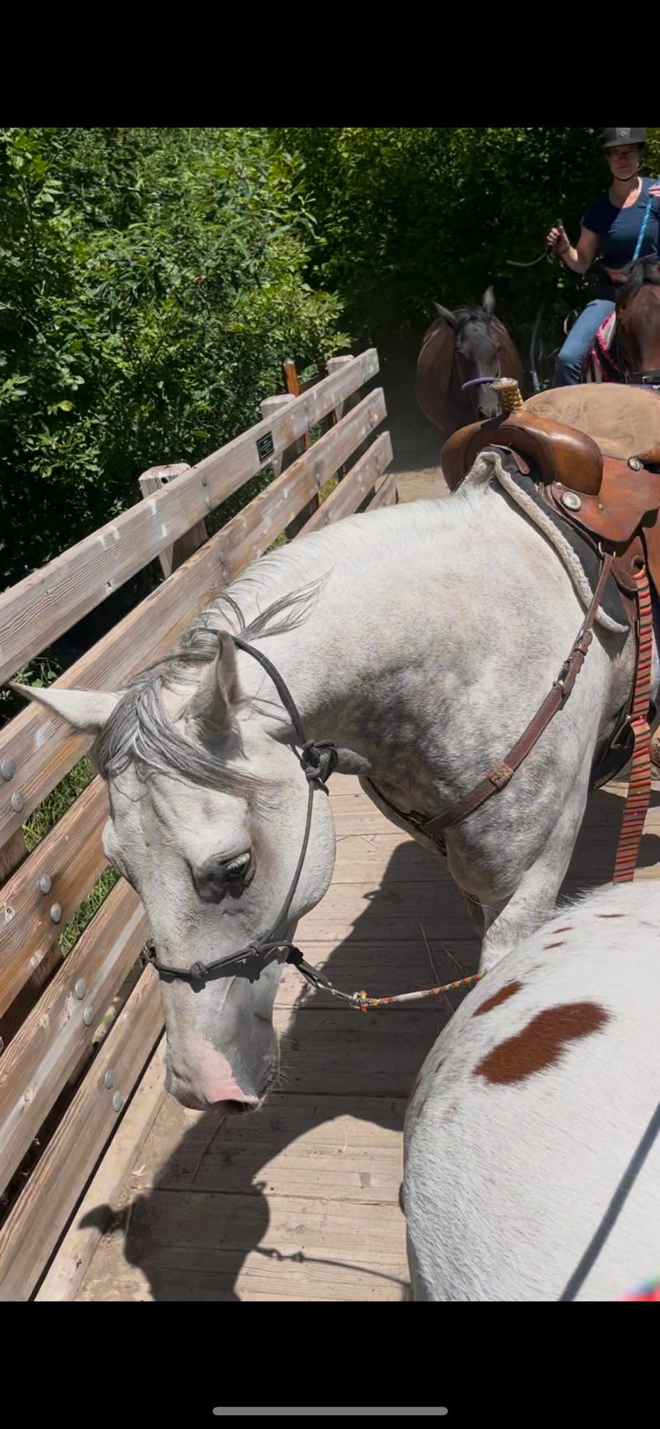 Riding Journey | Fall Creek OR