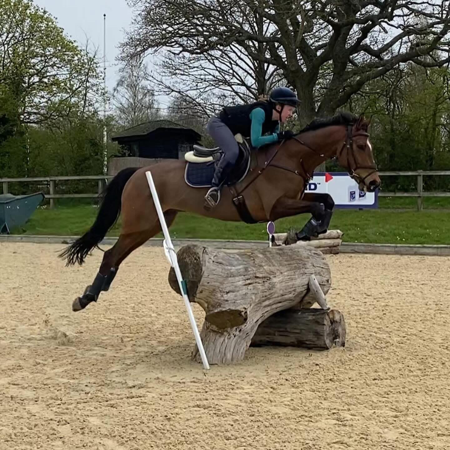 Elstead Riding Club - #ThrowbackThursday to our August Fun Show in 2014 ...