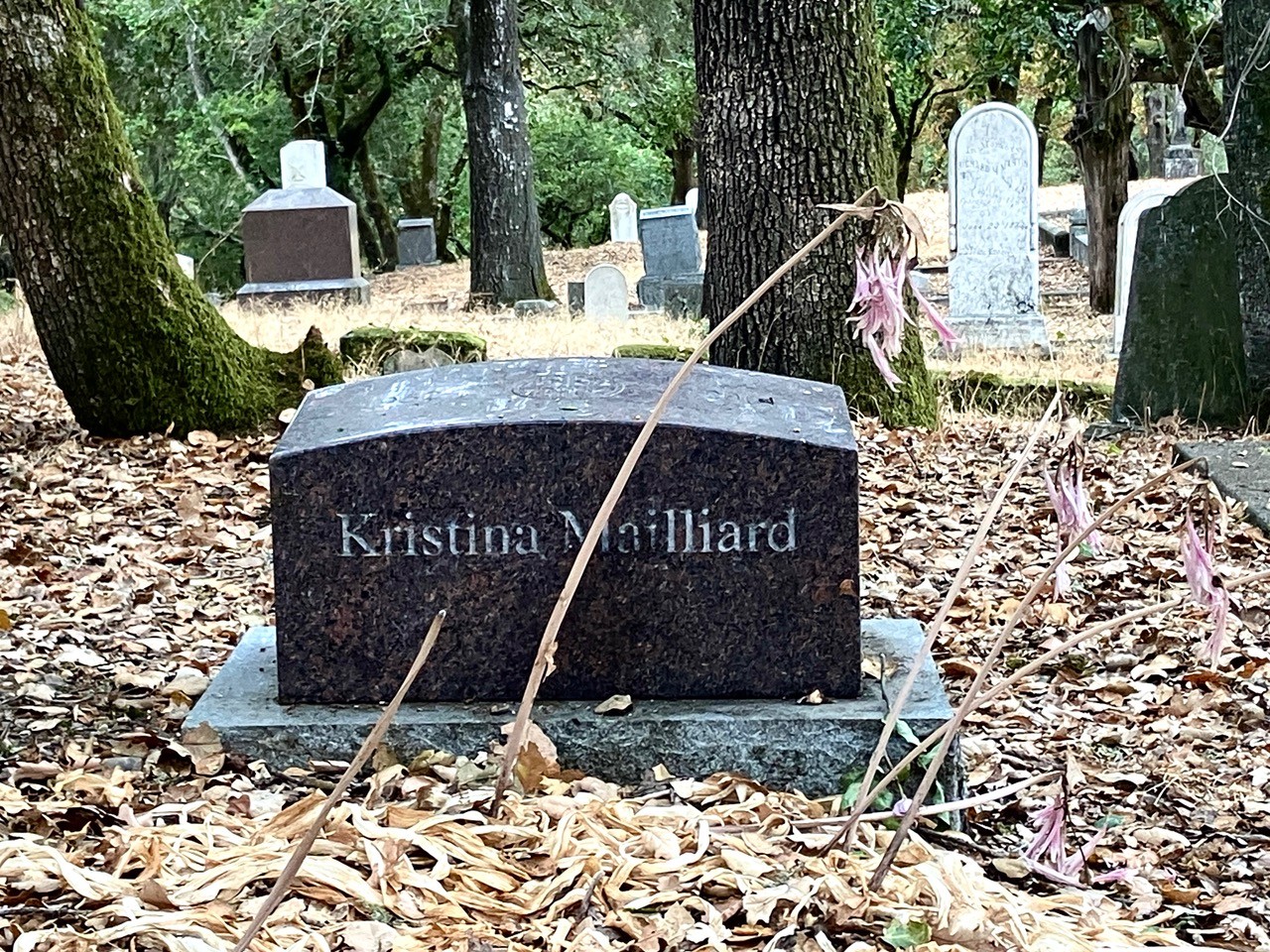 Santa Rosa Rural Cemetery... - Santa Rosa Rural Cemetery