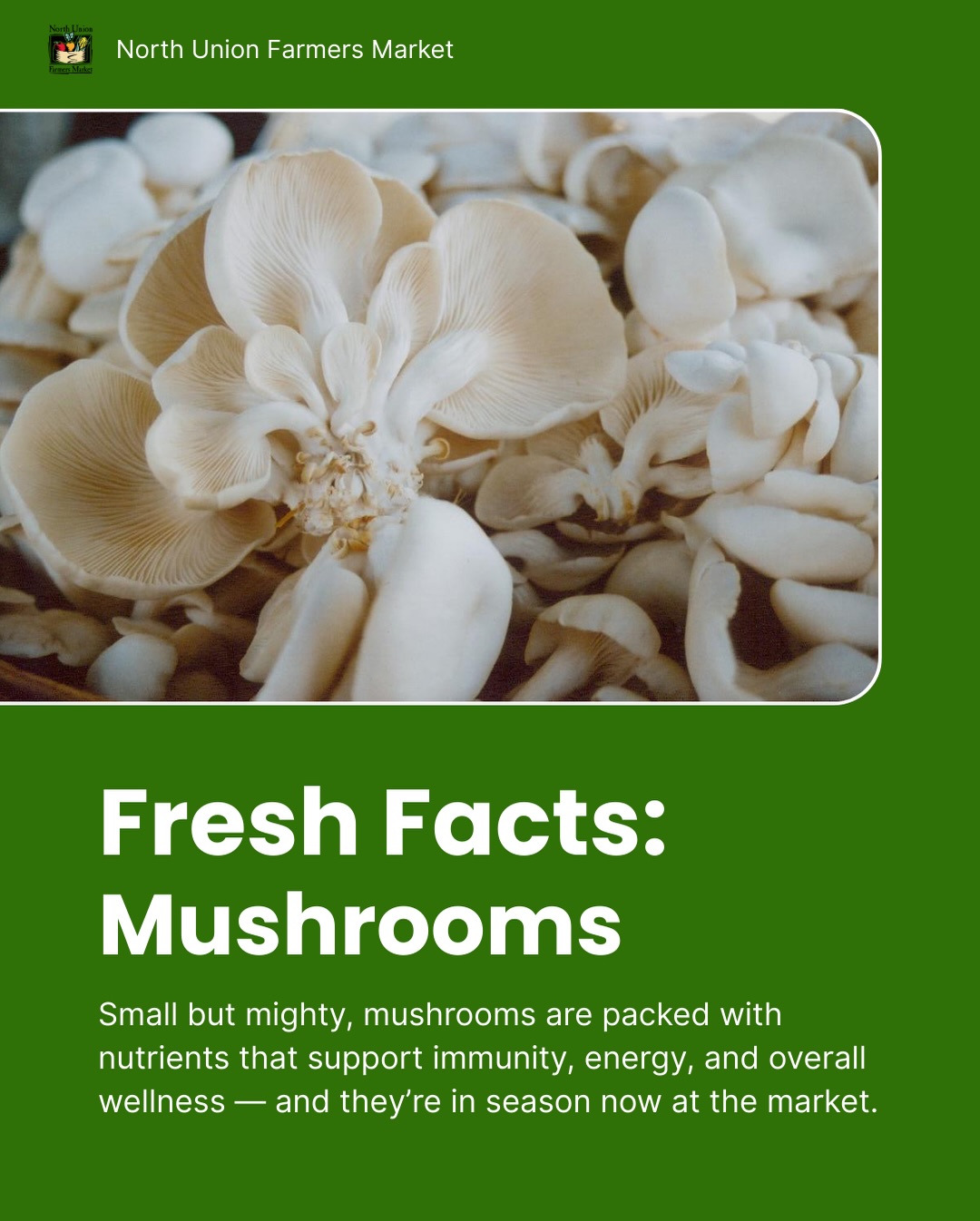 glutathione benjamin asher 🍄 Fresh Facts: Mushrooms 🍄 From immune support to energy-boosting nutrients, mushrooms are a powerhouse — and they're in season now at the market. Shop fresh, locally grown mushrooms this Saturday morning glow and tone up cream Synthesis of functional enzymes Bottle Size:30ml