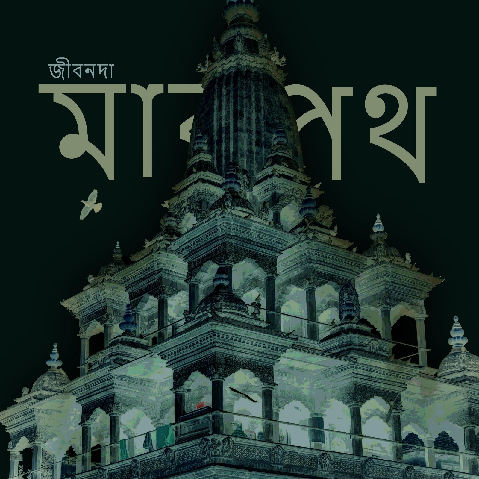 Shohan M. Rahman