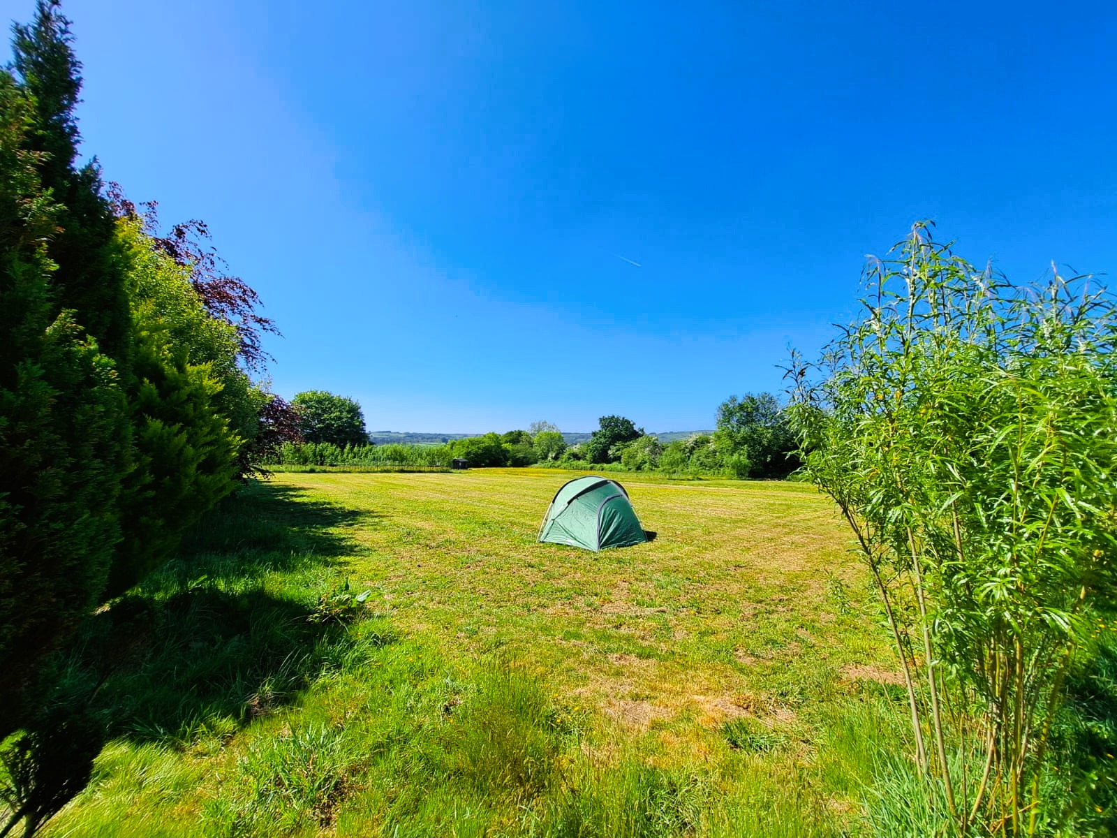 Firecrest Valley Campsite and Glamping