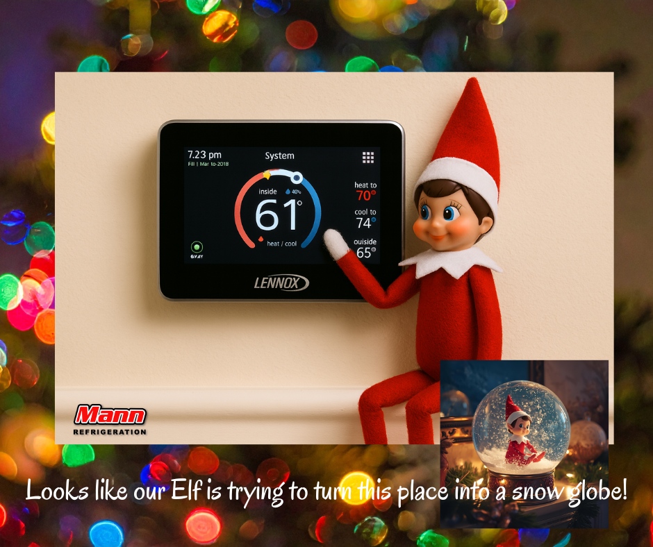 Mann - Our Elf on the Shelf decided 68 wasn’t frosty enough… now we’re ...