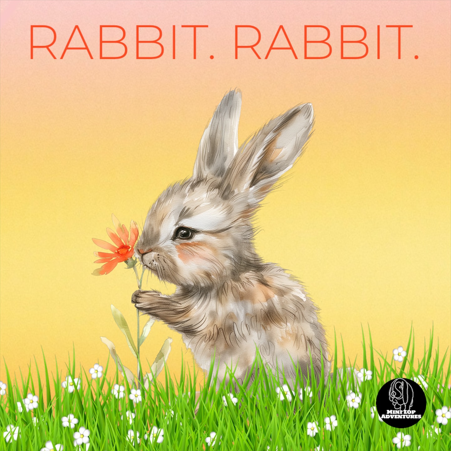 Mini - Rabbit. Rabbit. Hoppy July! 🌺🐇#RabbitRabbit #Rabbit #Bunny # ...