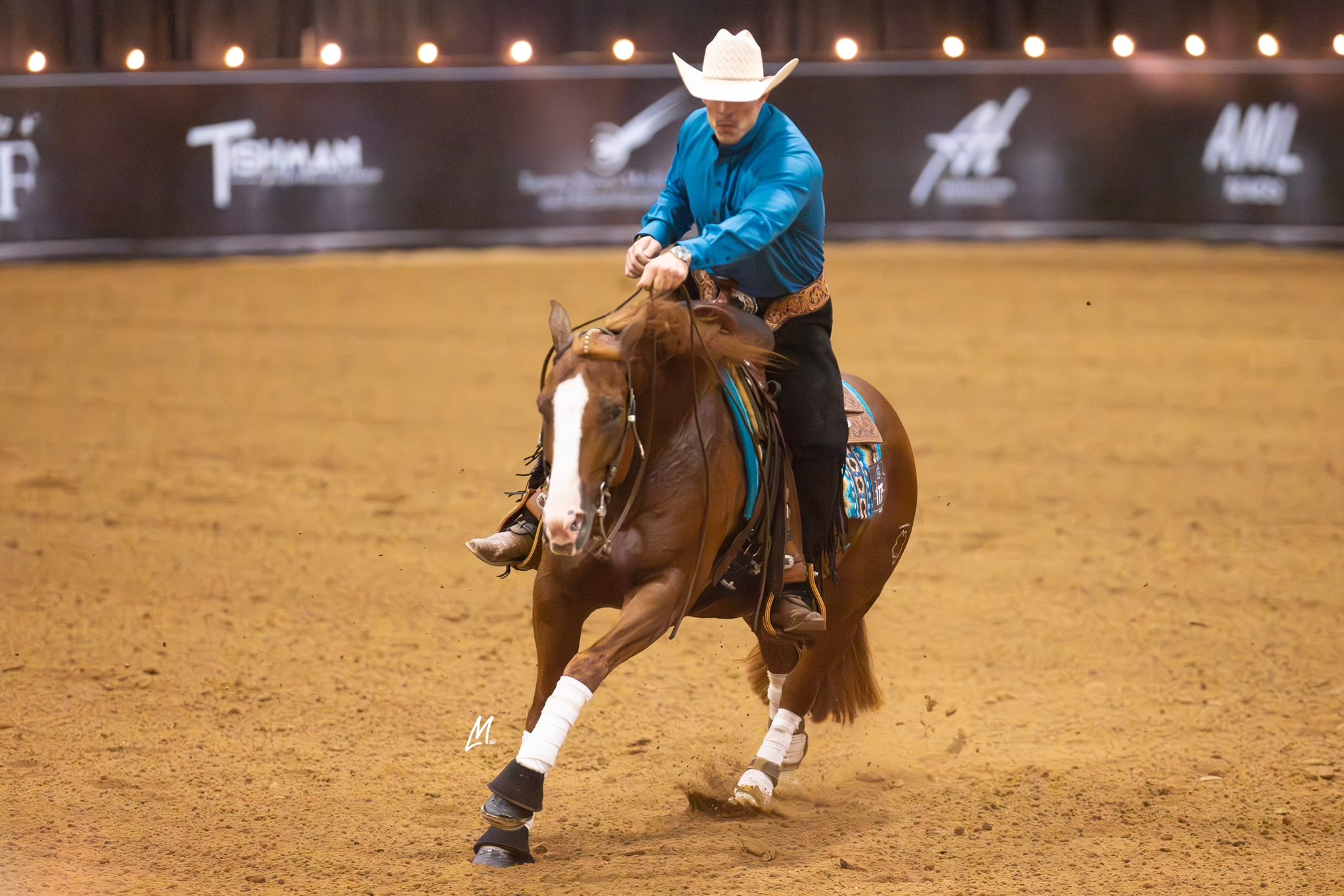 Williams Performance Horses... - Williams Performance Horses