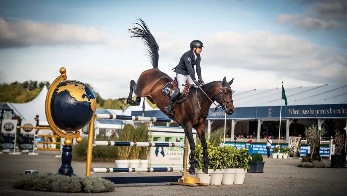 その他 T&L ✨ Proven dam line, proven talent ✨ Our stallion Corydon van T&L