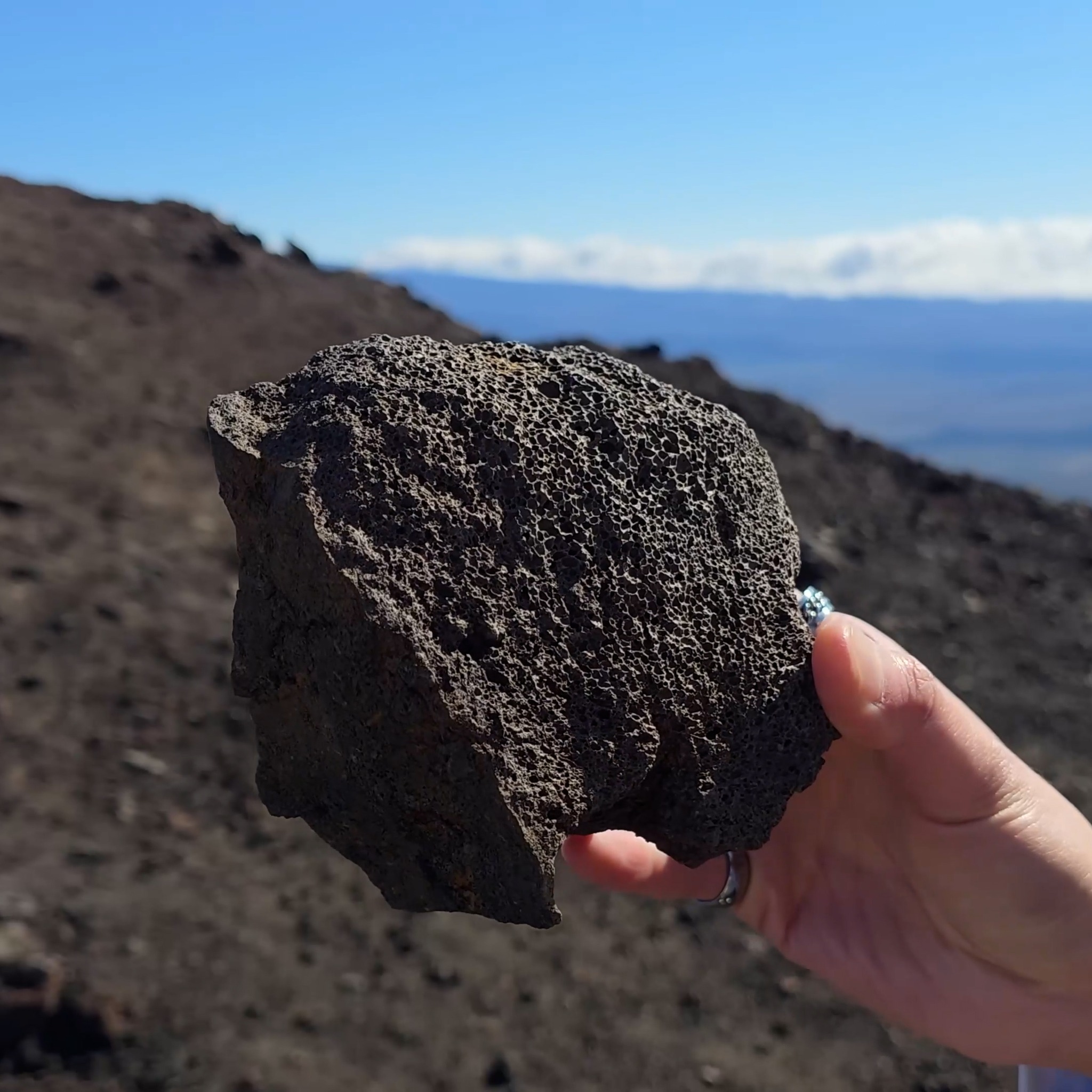 Black Lava Rock from Mauna kea! ?? #lavarock #hawaii 