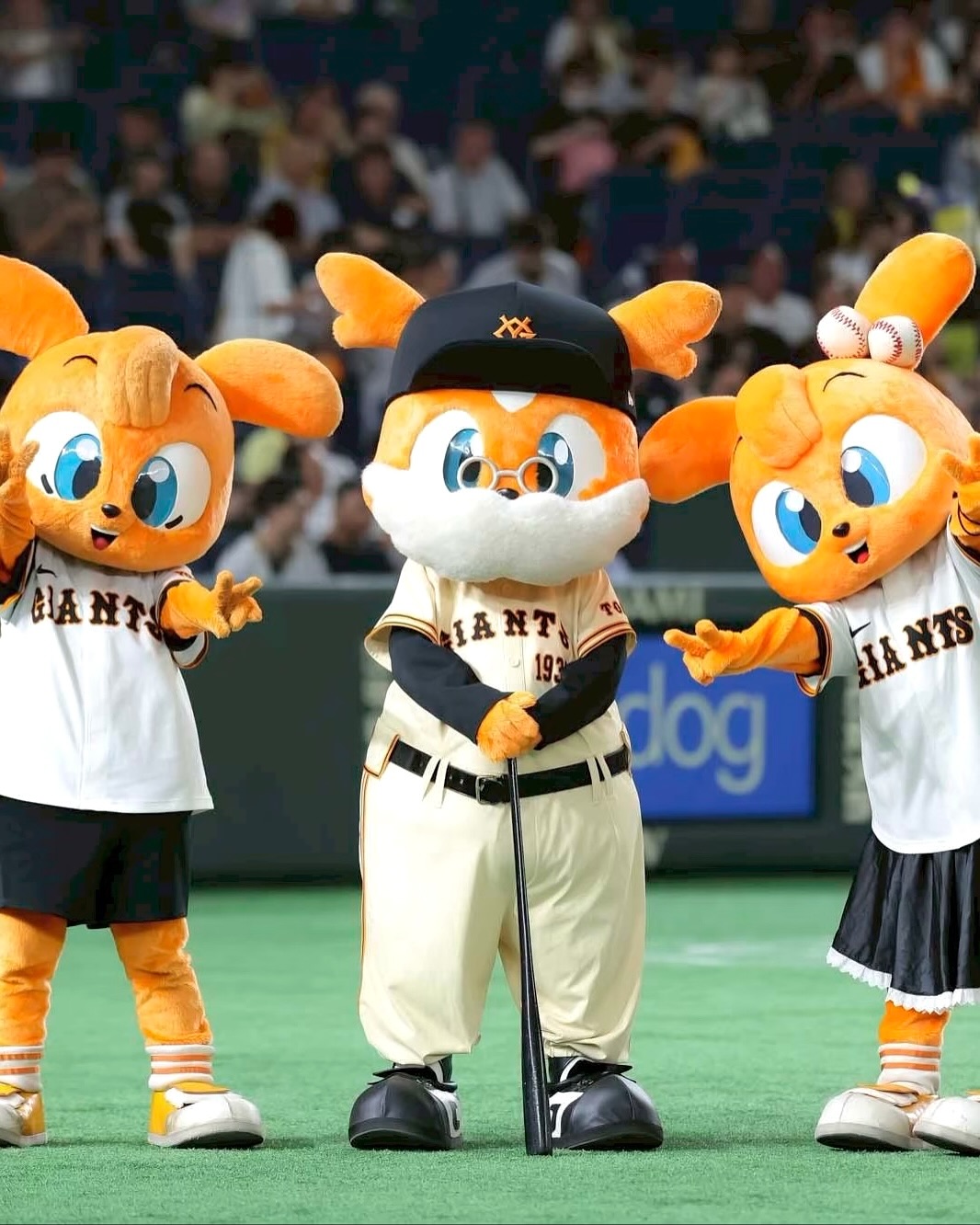 昭和レトロジャビット ファミリーぬいぐるみ セット 昭和レトロ