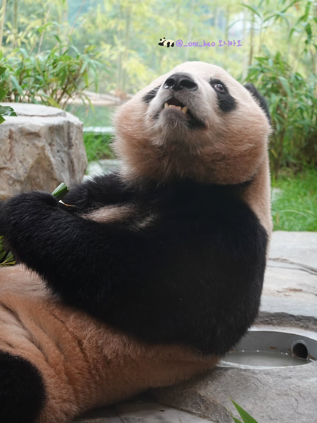 Rui Hui đáng yêu added a new photo. - Rui Hui đáng yêu