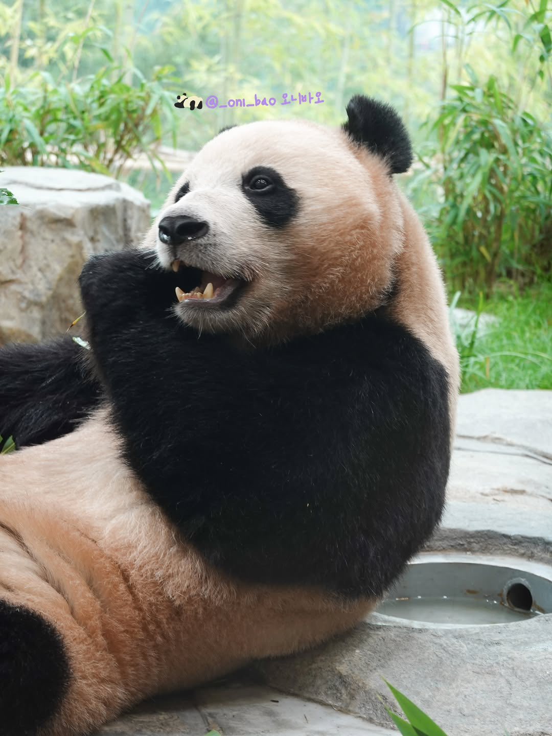 Rui Hui đáng yêu added a new photo. - Rui Hui đáng yêu