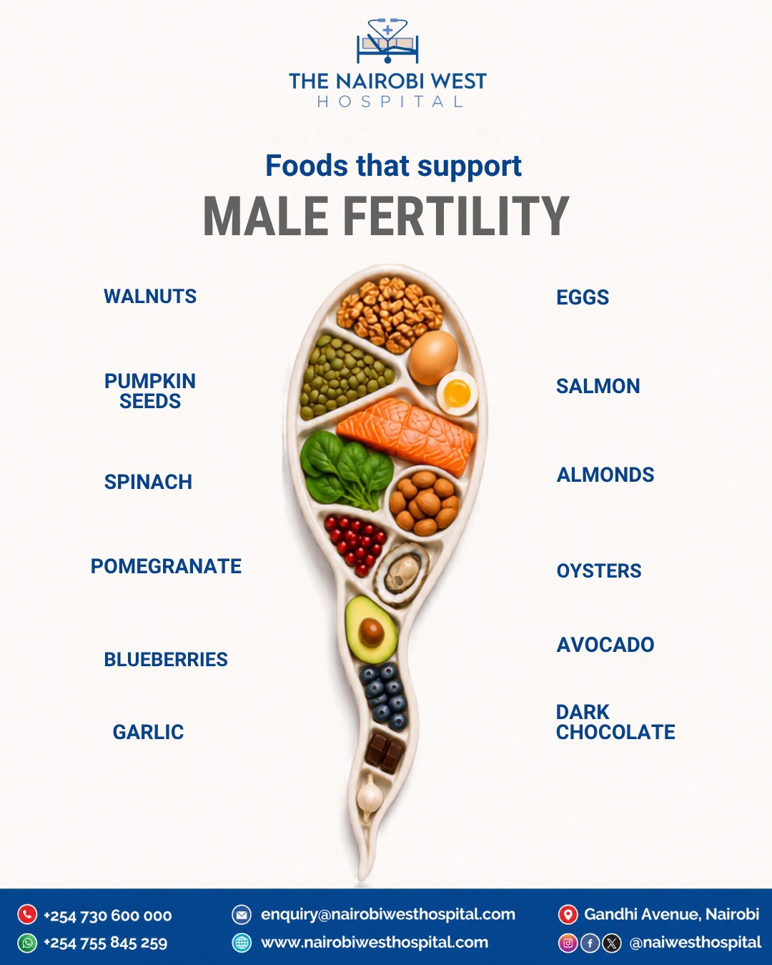 how much l carnitine should i take for sperm motility Supporting male fertility starts with everyday nutrition. Foods rich in antioxidants healthy fats vitamins and minerals may help improve health and overall reproductive wellness. expert fertility guidance and personalized care Asylum Cabinet L-Carnitine Capsules concentrate Trade Price*:1x Bottle (£15 Each)