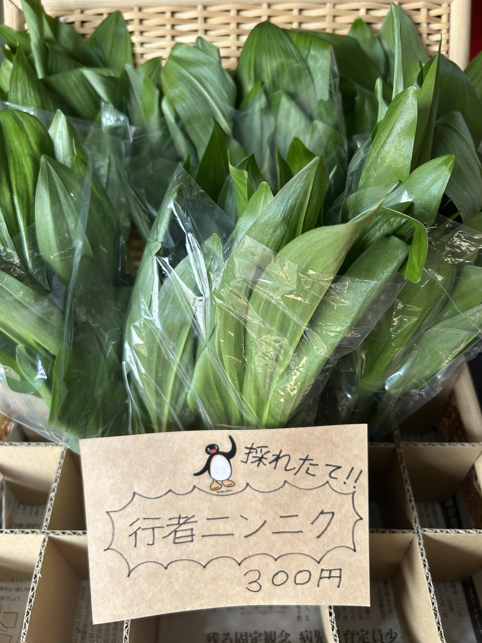浦河で採れたての「行者ニンニク¥300」を販売しています！ 新鮮で