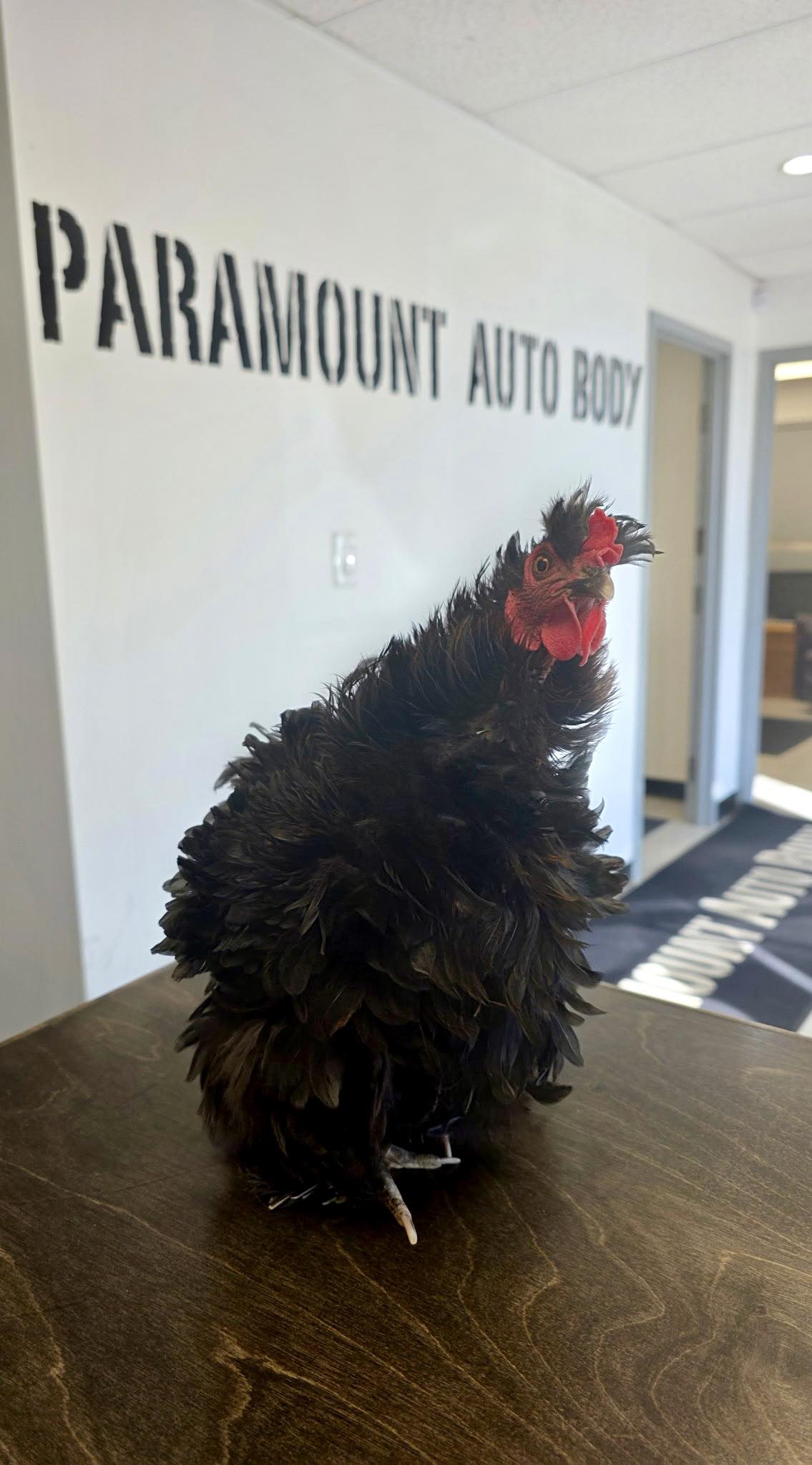 Paramount Auto Body Ltd | Grande Prairie AB