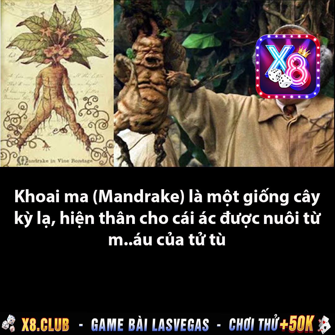 Trà Đá Truyện Ma Không Sợ Ma Xóa Fanpage - Trong truyền thuyết, Khoai ...