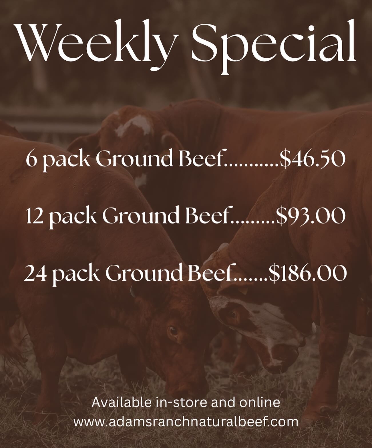 Adams Ranch, INC | Fort Pierce FL