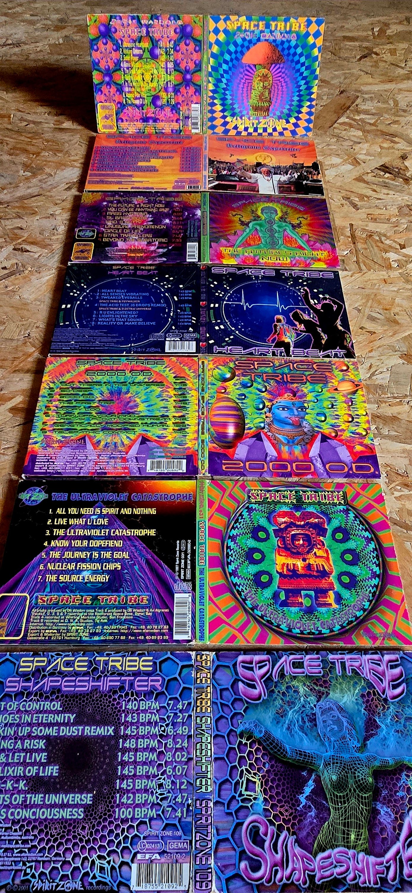 ? Space Tribe – You Create Your Own Reality (Spirit Zone 