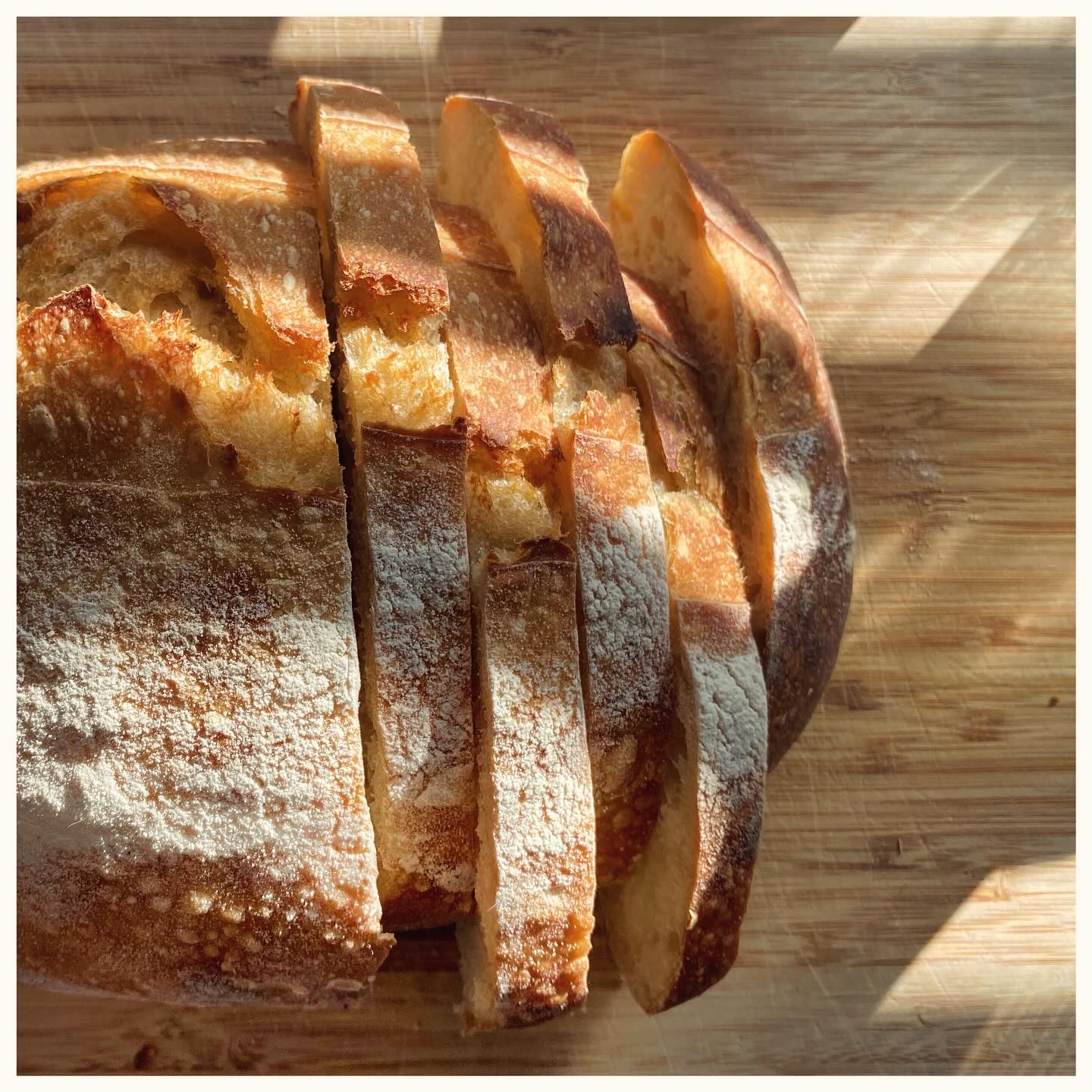 Cook - Sourdough September day 2, a lumpy bumpy Signature White ...