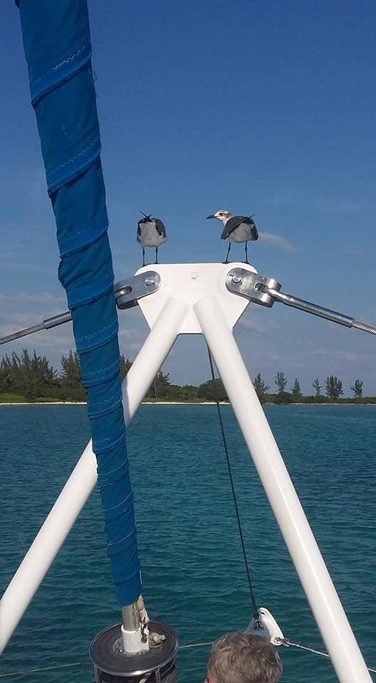 Bleu Magic Raiatea