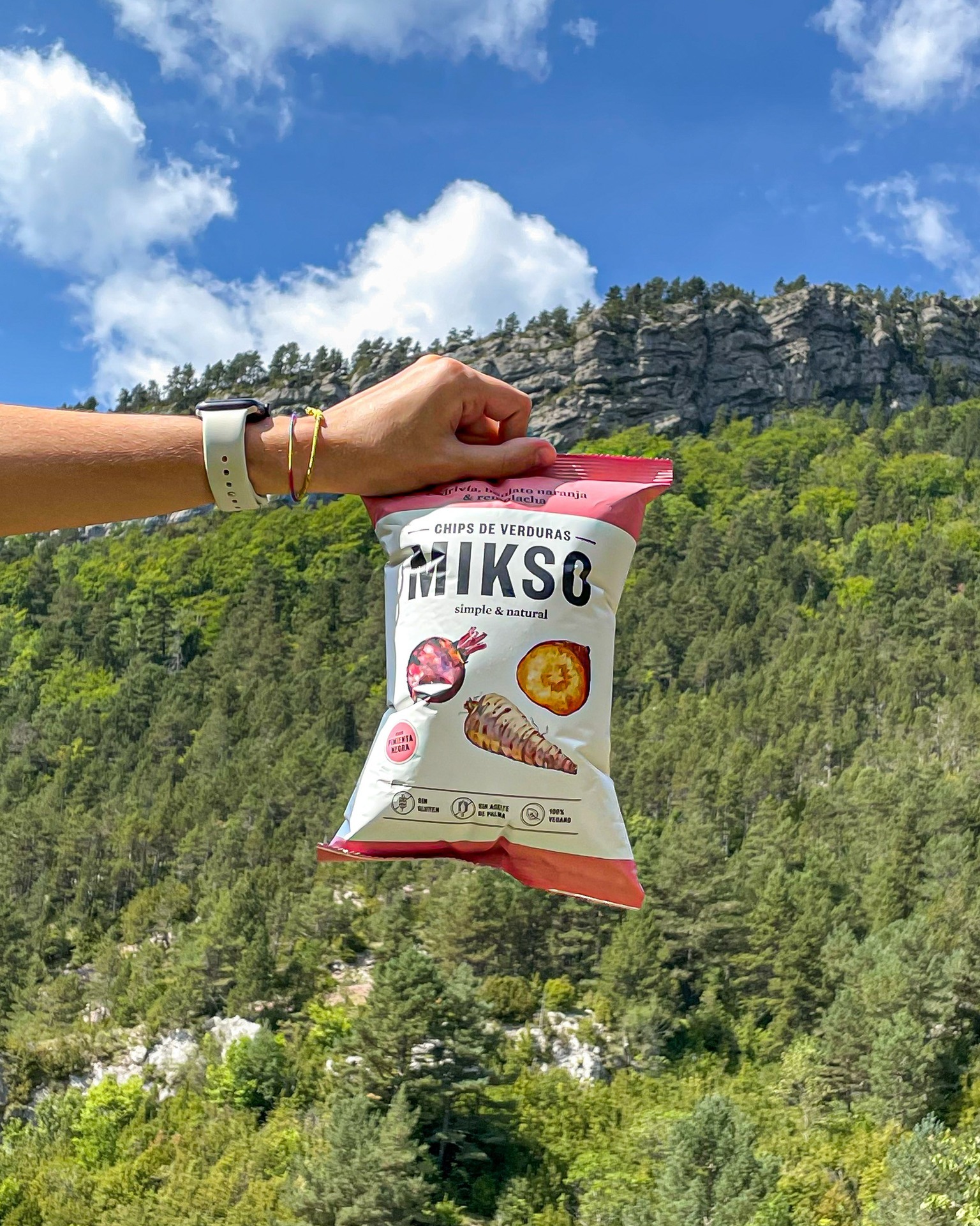 MIKSO Chips