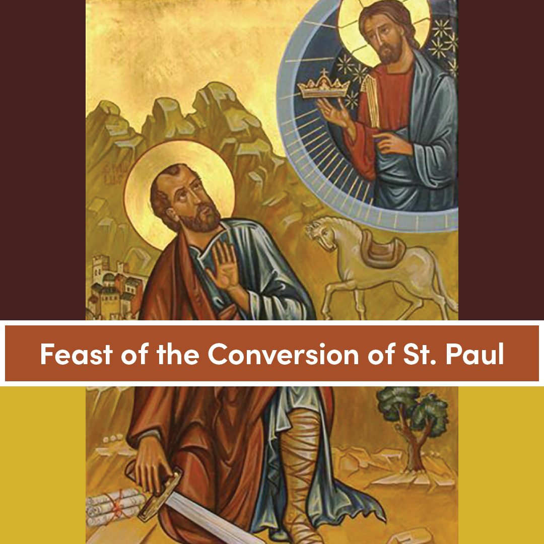 From persecutor to preacher. The conversion of St. Paul reminds us that ...