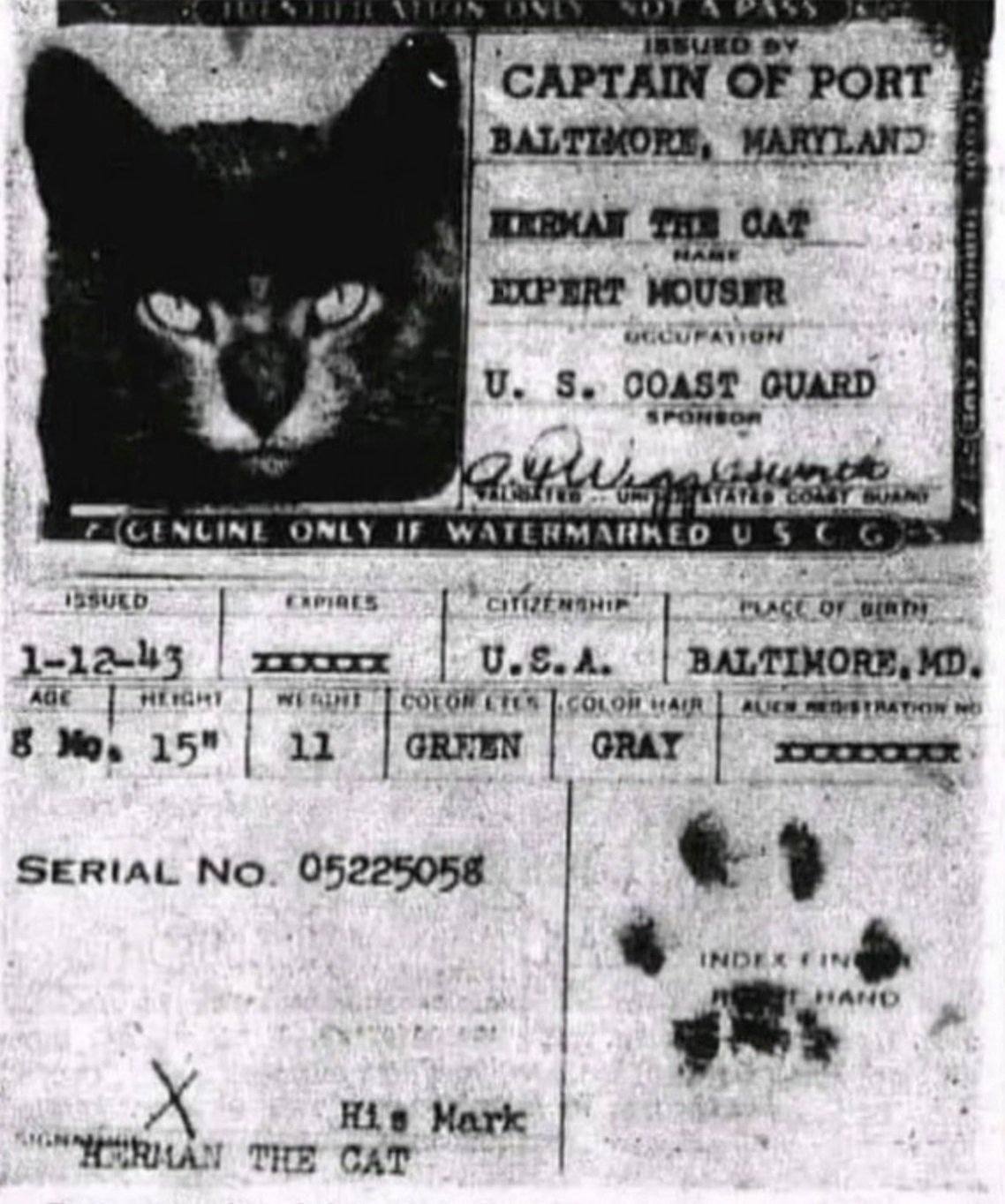 1929 ve 1941 yılları arasında SSCB'deki neredeyse tüm camiler