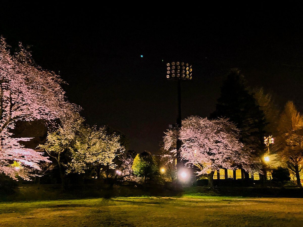 新 狭山 公園 野球 場