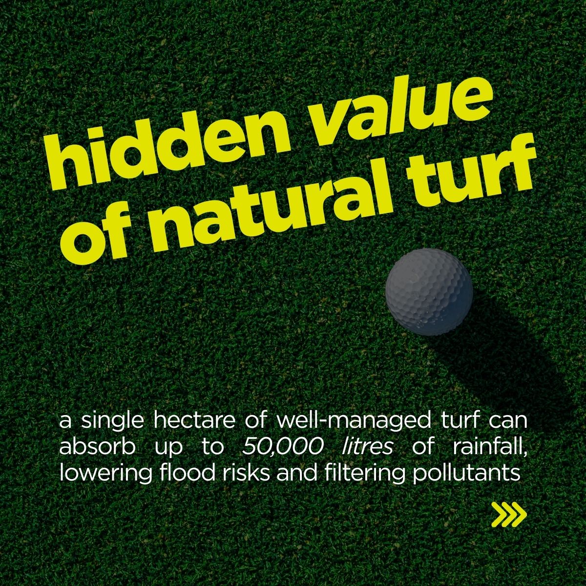 STRI Group - #TruenessMeter assessments of double cutting vs. vibro ...