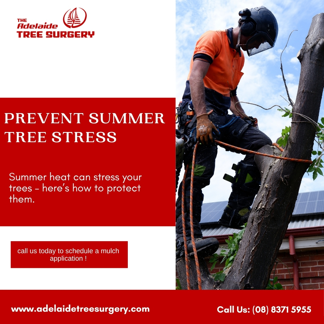 The extreme summer temperatures in... - Adelaide Tree Surgery | Facebook