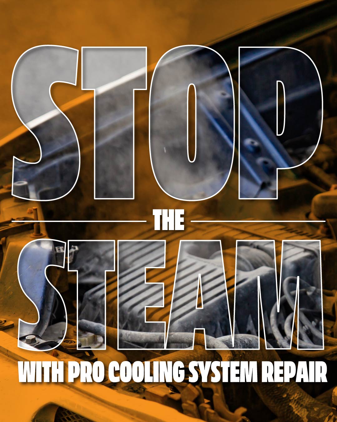 Import Performance Auto... - Import Performance Auto Repair