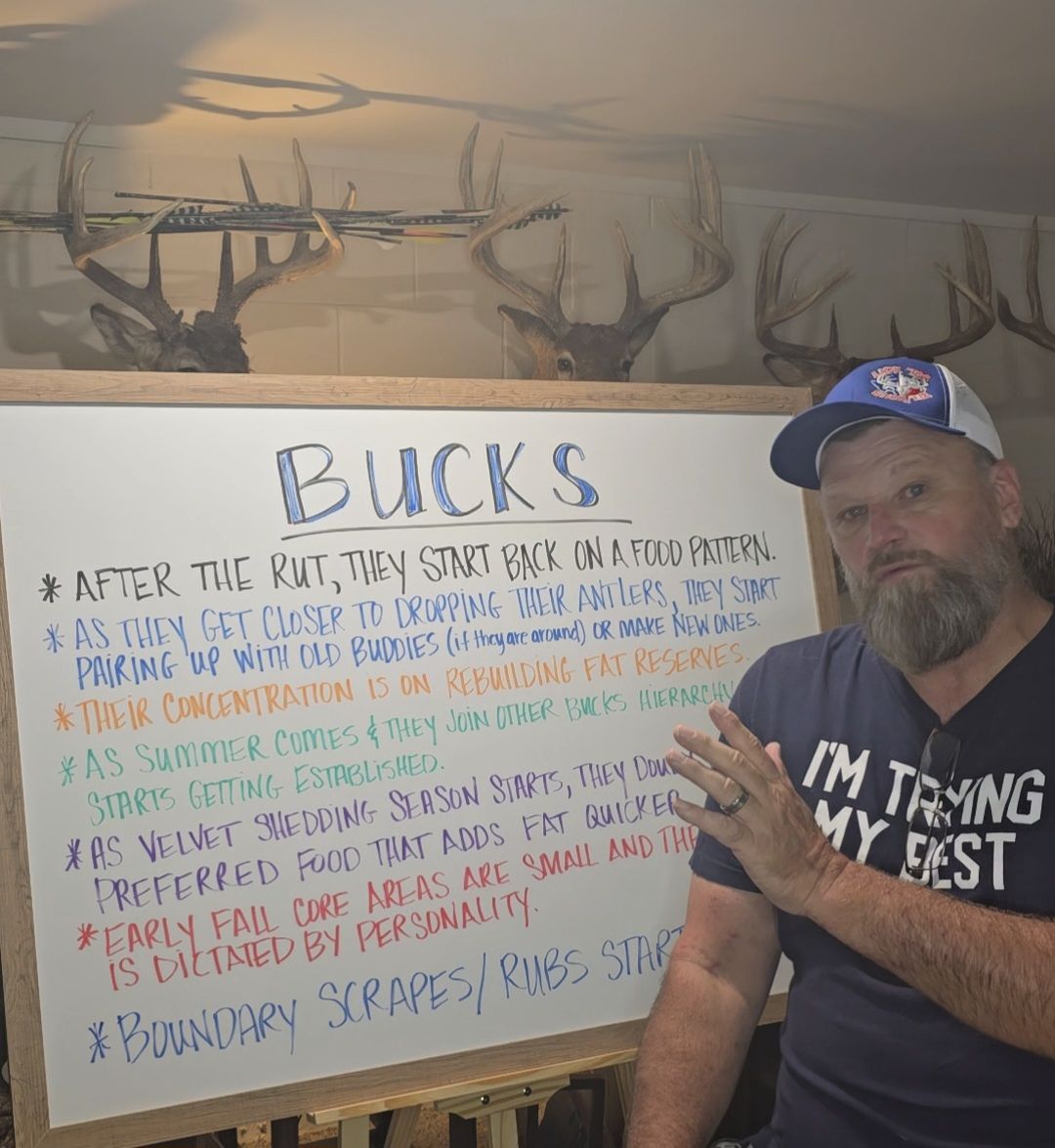 The Whitetail - Understanding the Rut video series Part 2 just dropped ...