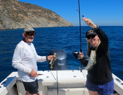 bass must haves in tackle box Fishing Lures Kit with Plier,Saltwater & Freshwater Baits Brands_Gulfstream Lures the mtb elite kit Color:#12 Lunar Fusilier Gumtree Australia Gumtree Fishing