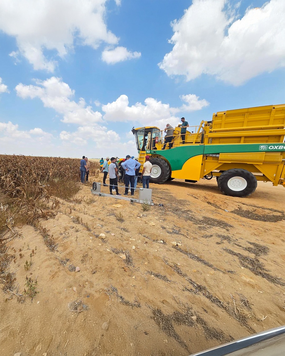 Oxbo - Big moment in Egypt as the first B620 hit the field! The same ...