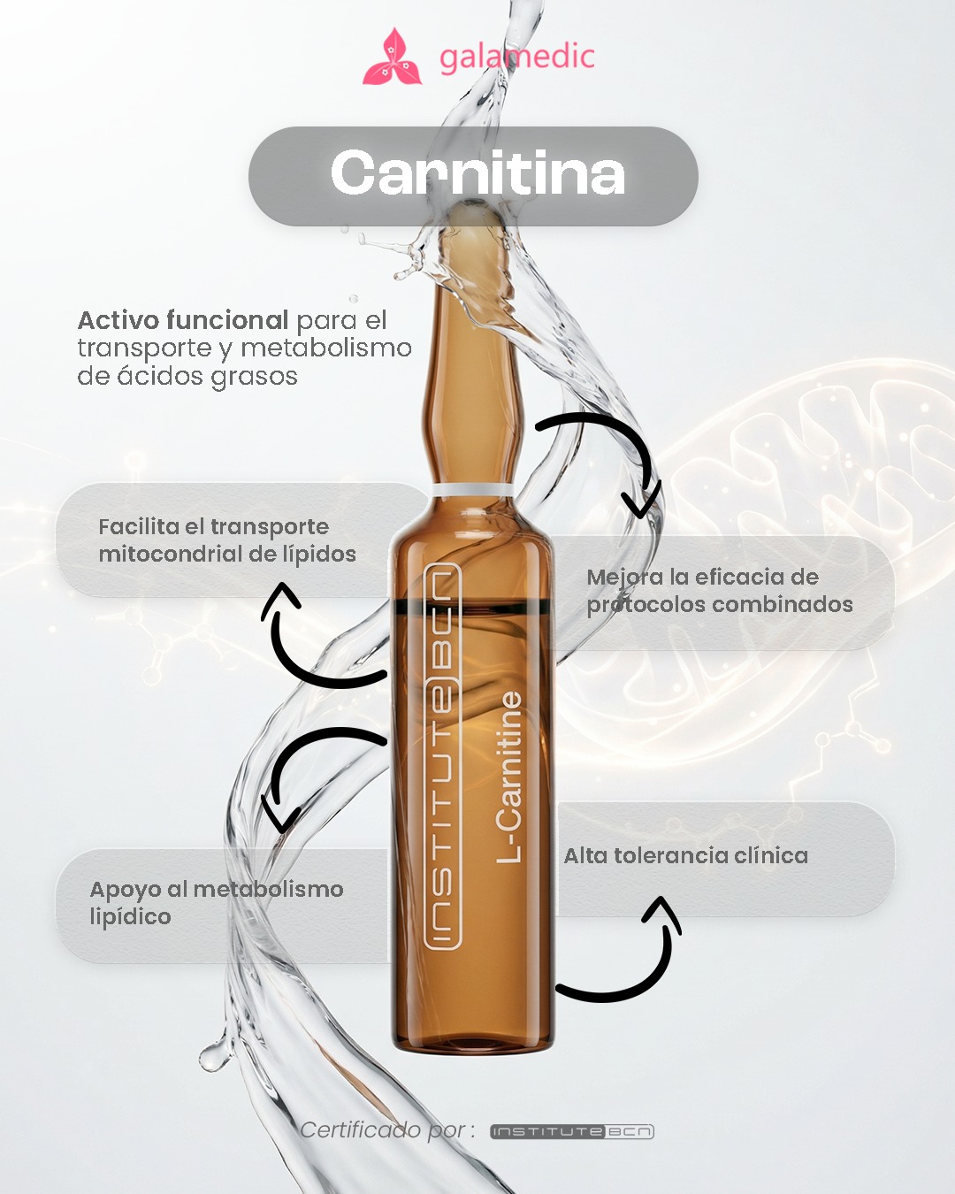 tartrato de l carnitina wikipedia Activo funcional para el transporte y metabolismo ácidos grasos La L- forma parte en protocolos orientados a optimizar el metabolismo lipídico, facilitando el transporte de ácidos grasos y acompañando esquemas personalizados Chemical structure