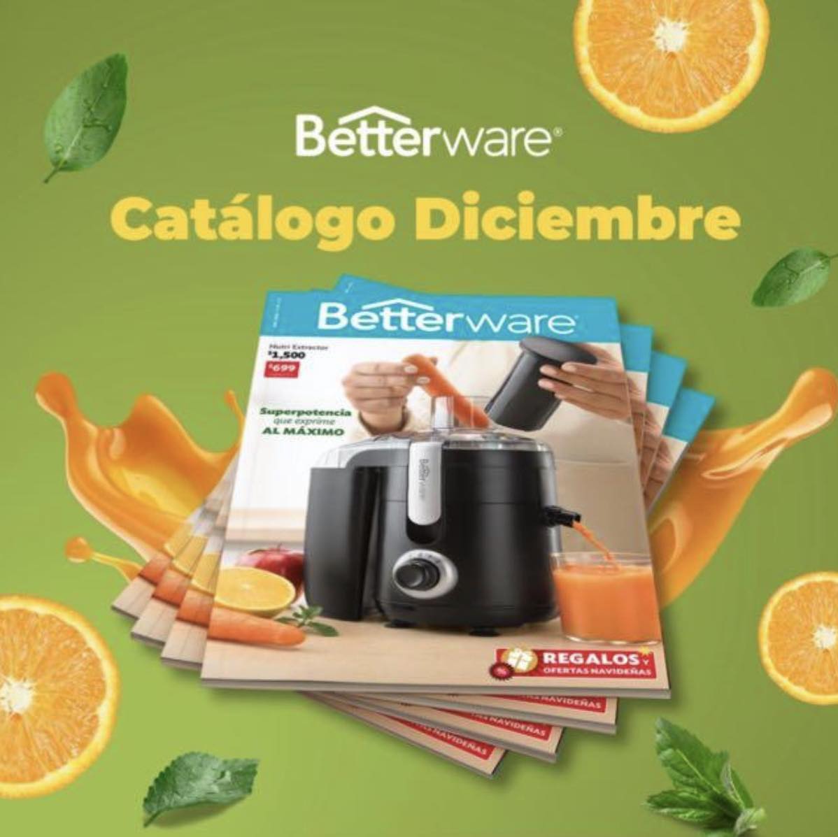 Betterware México Distribución y Afiliación
